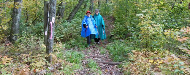 hikers in ponchos on a hiking trail